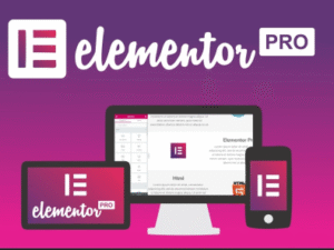 Elementor Pro – Advanced WordPress Page Builder